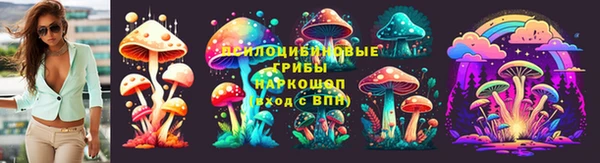 ешки Алексин
