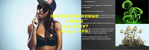 ешки Алексин