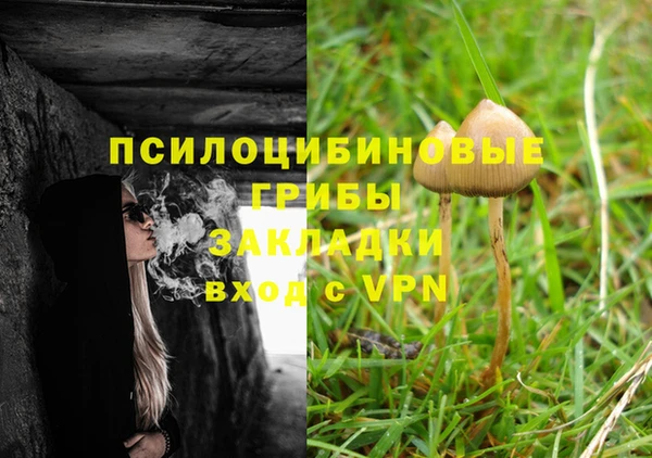 jwh Алзамай