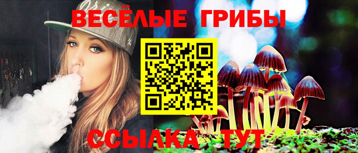 Омск  Псилоцибиновые грибы GOLDEN TEACHER  Вход с VPN 