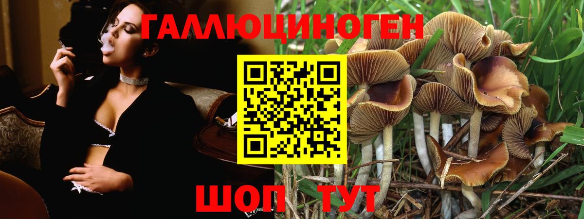 Псилоцибиновые грибы мухоморы Омск